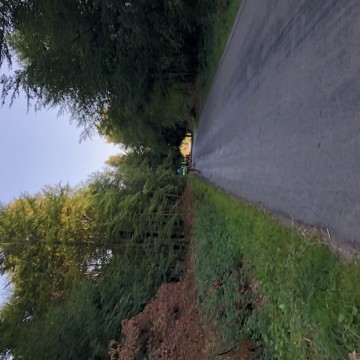 IMG 3842 - Scouts en Gidsen Zaventem 